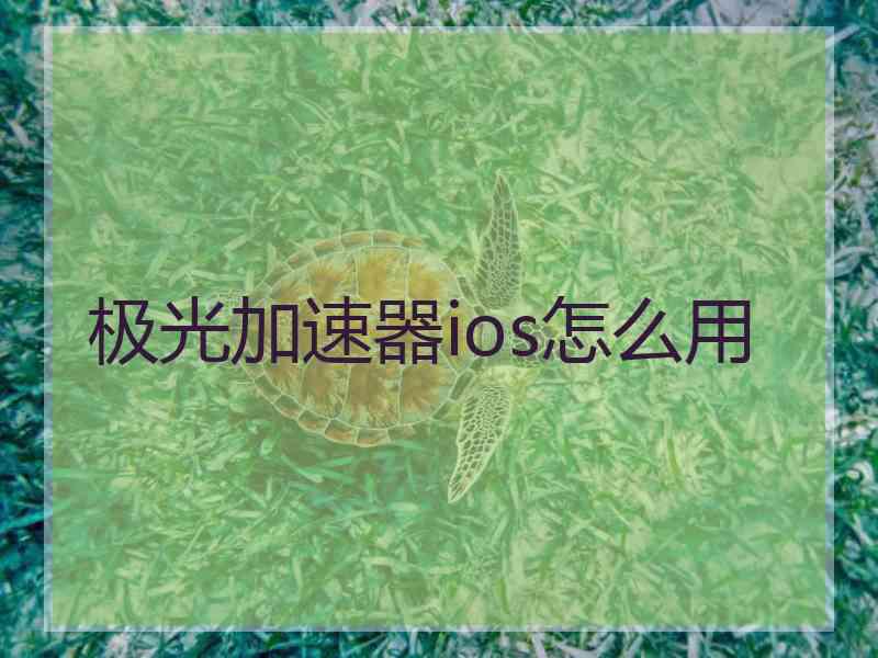 极光加速器ios怎么用
