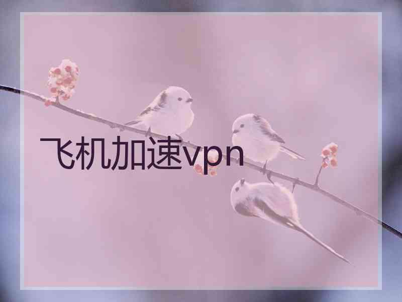 飞机加速vpn