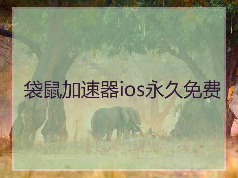 袋鼠加速器ios永久免费