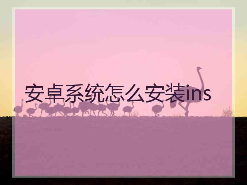 安卓系统怎么安装ins