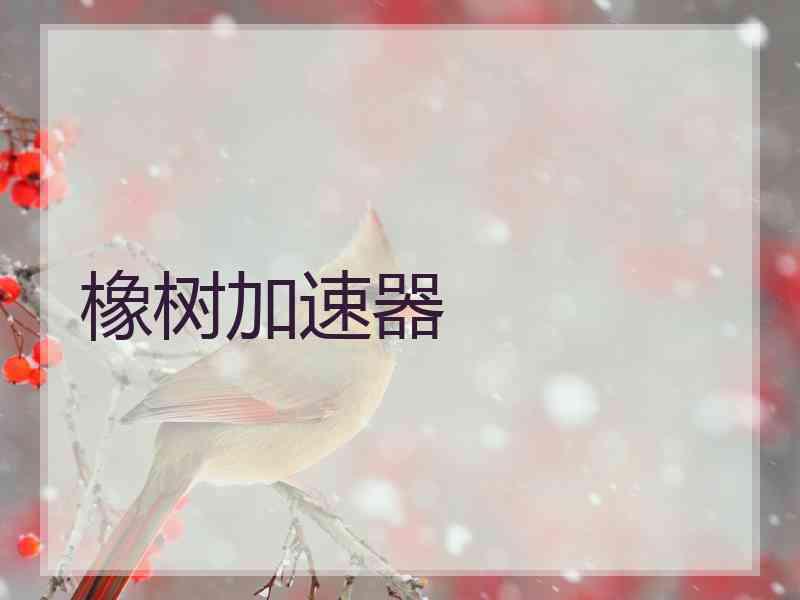 橡树加速器
