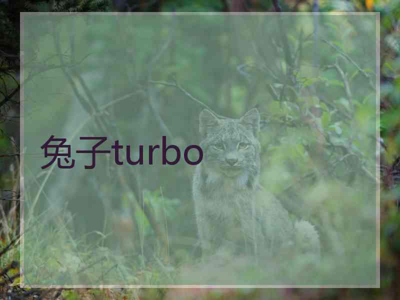 兔子turbo