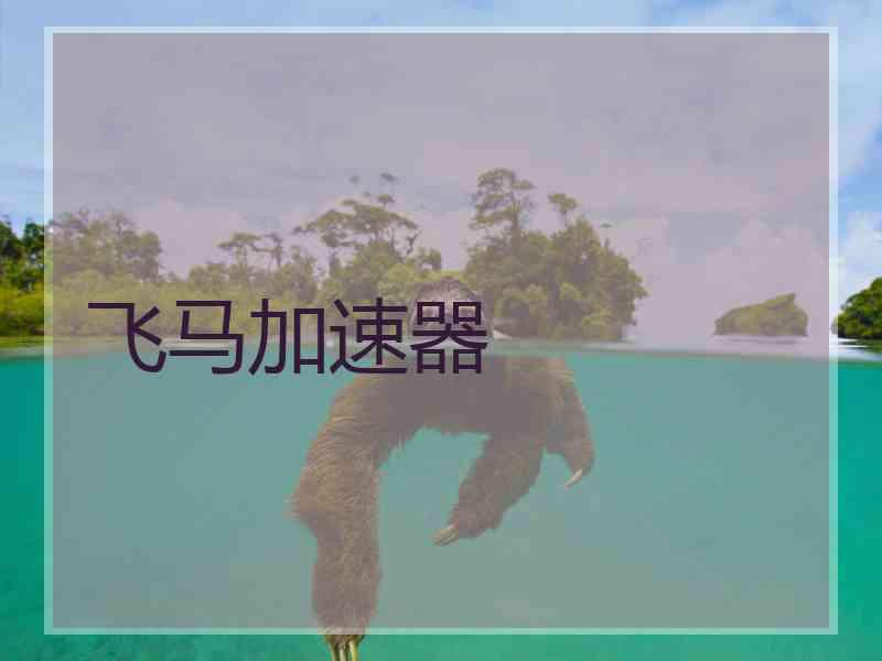 飞马加速器