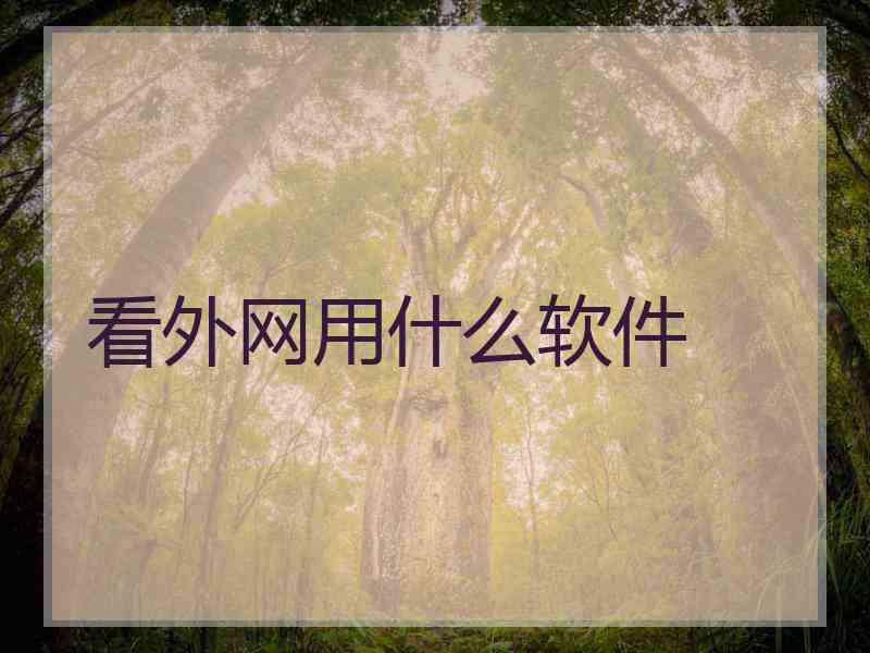 看外网用什么软件