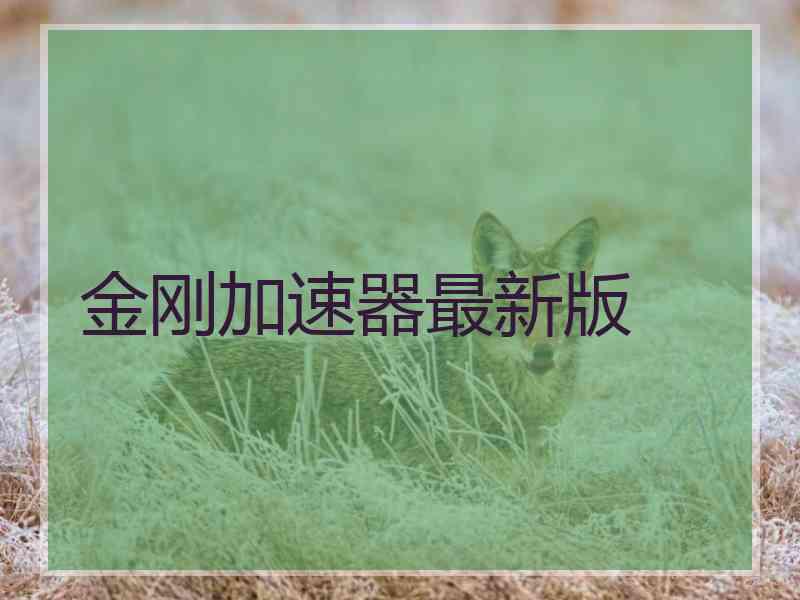 金刚加速器最新版