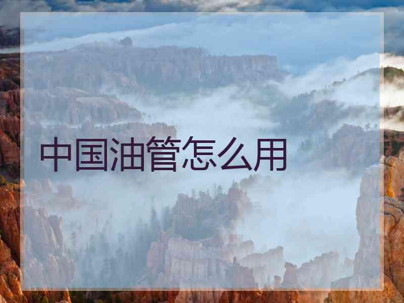 中国油管怎么用