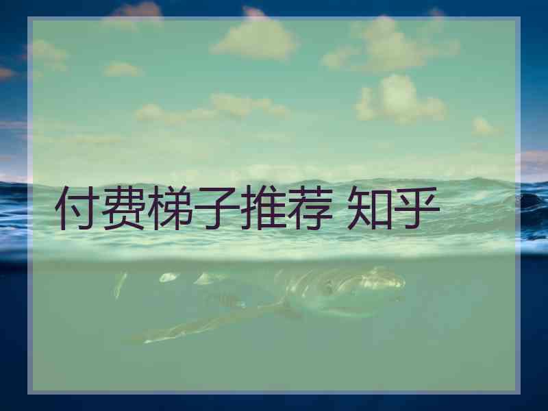 付费梯子推荐 知乎