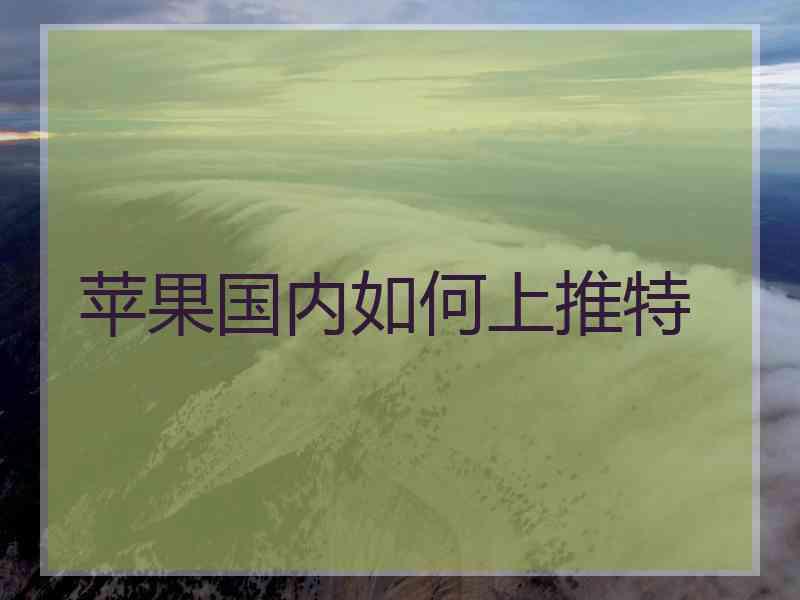 苹果国内如何上推特
