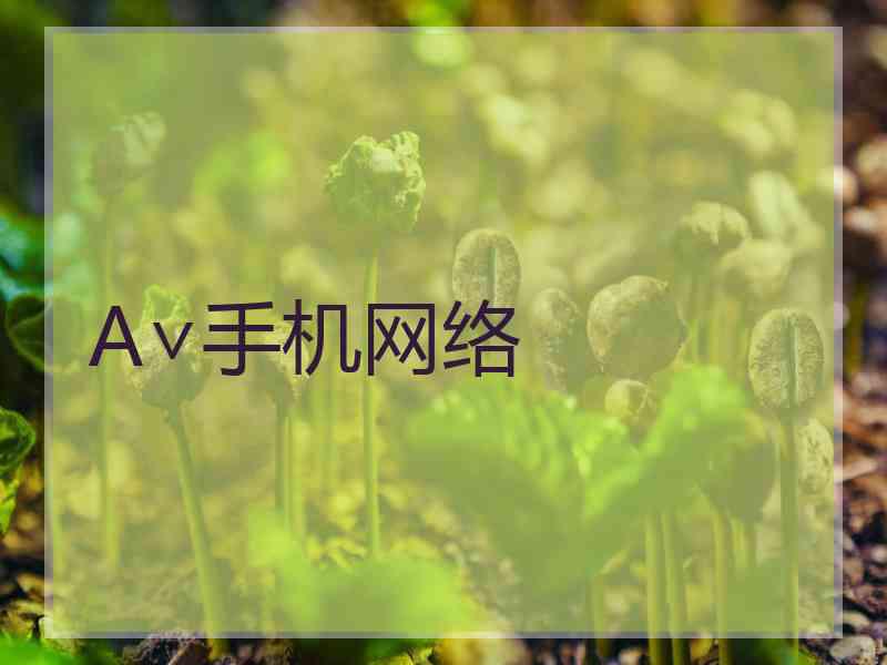 A∨手机网络