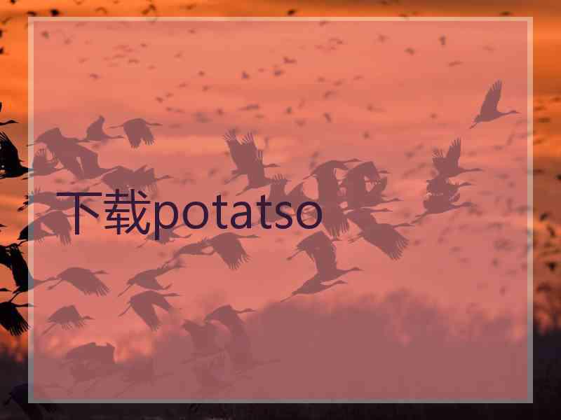 下载potatso