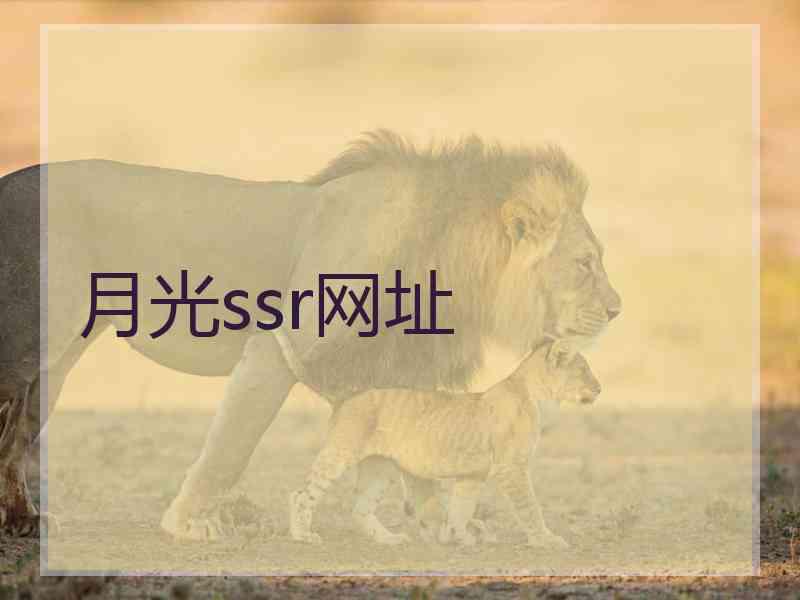 月光ssr网址