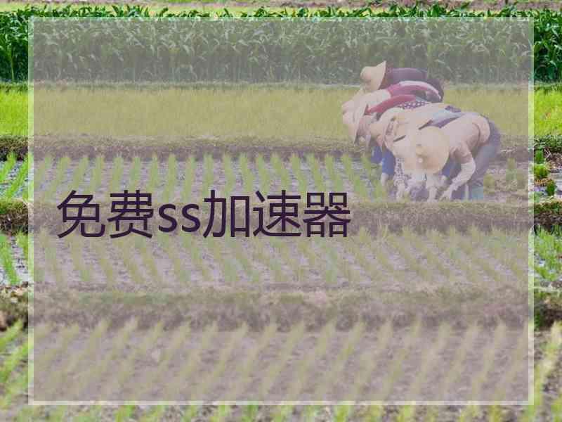 免费ss加速器