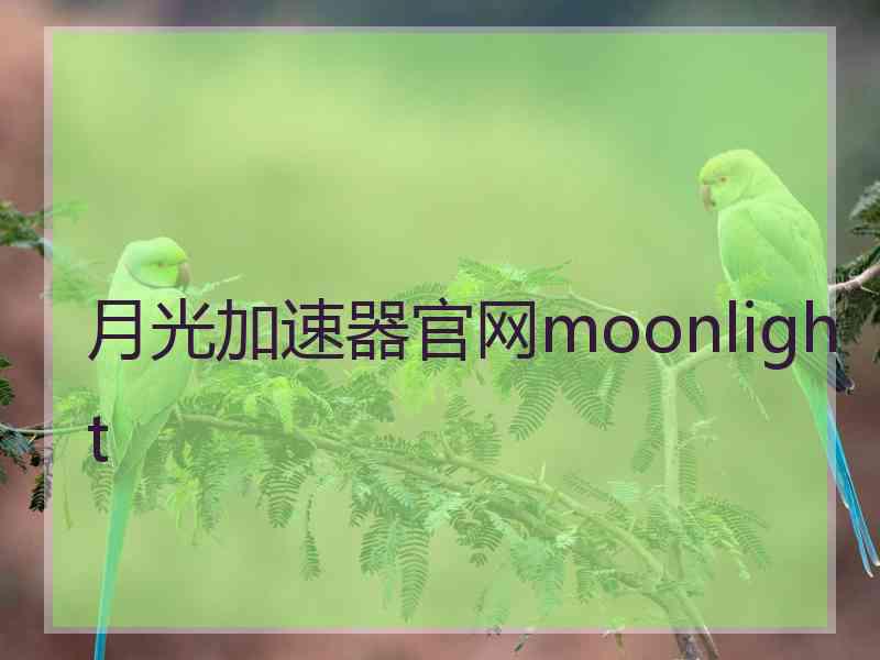 月光加速器官网moonlight