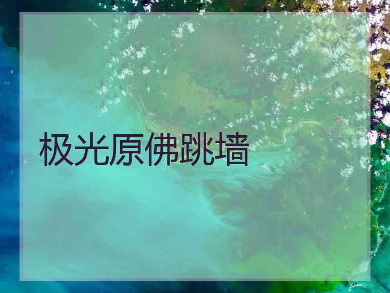 极光原佛跳墙