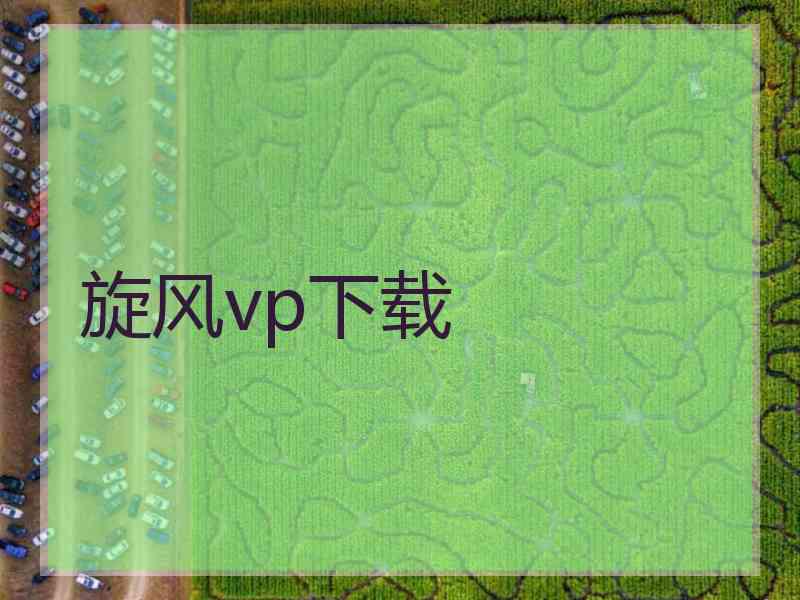 旋风vp下载