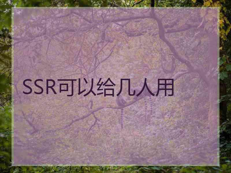 SSR可以给几人用