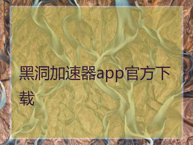 黑洞加速器app官方下载
