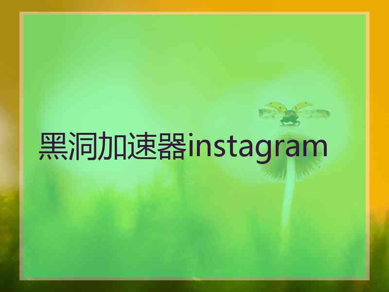 黑洞加速器instagram