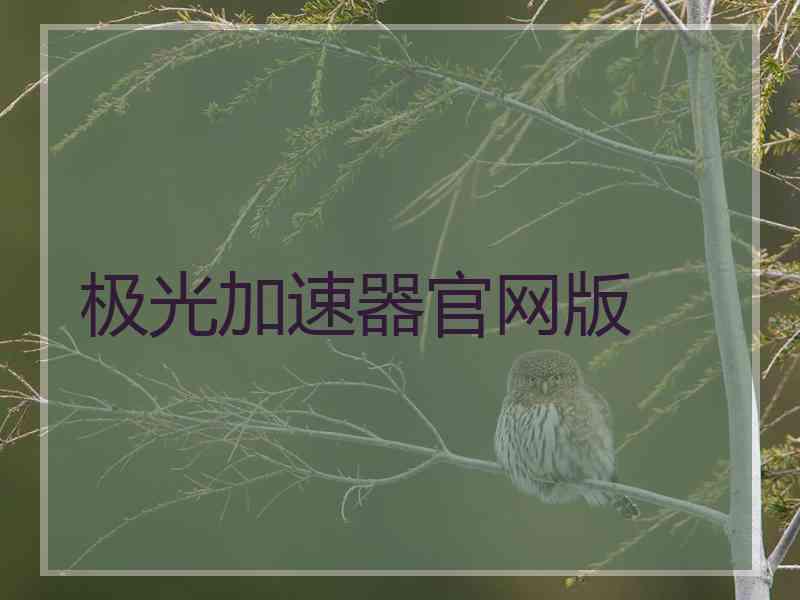 极光加速器官网版