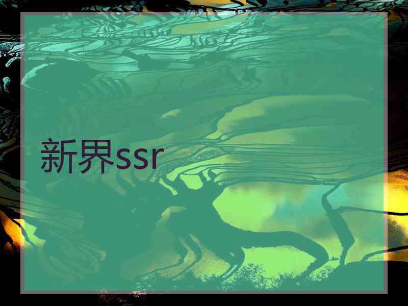 新界ssr