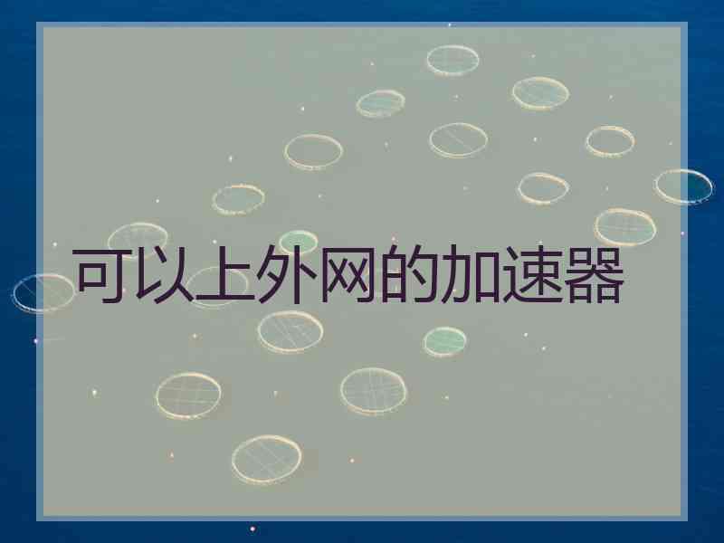 可以上外网的加速器