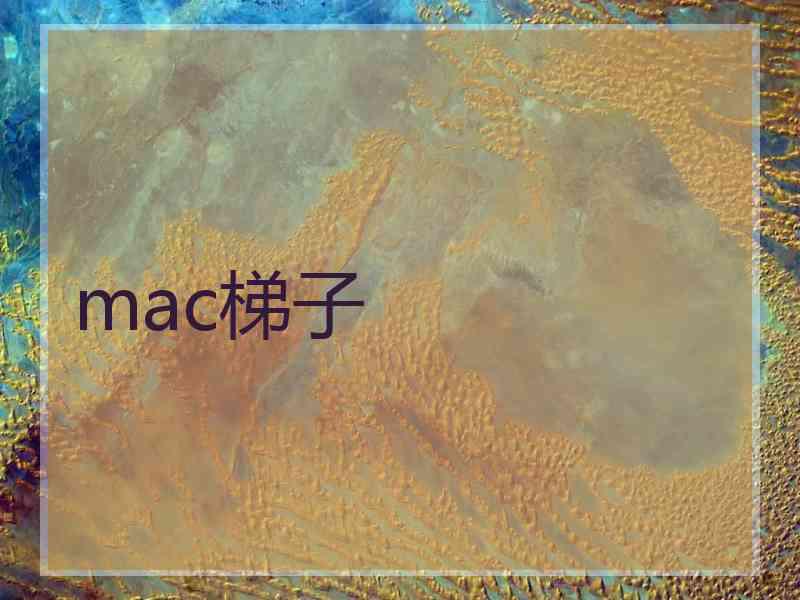 mac梯子