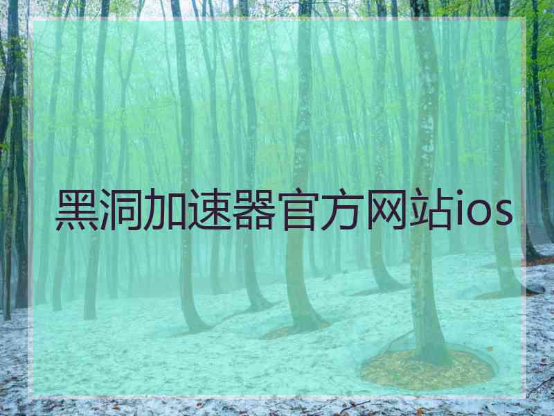 黑洞加速器官方网站ios