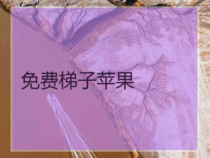 免费梯子苹果