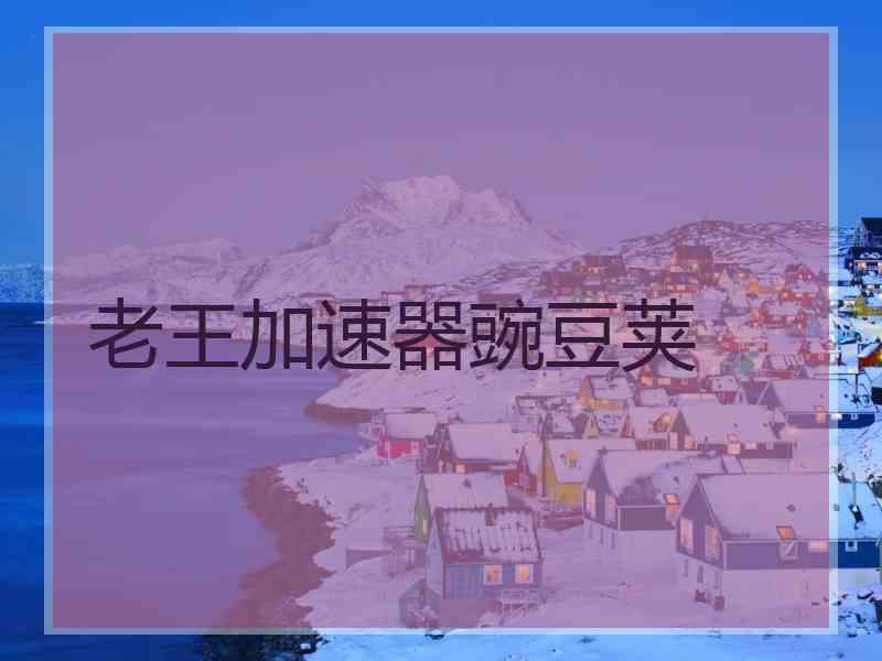 老王加速器豌豆荚