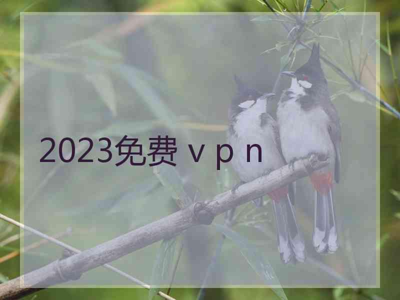 2023免费 v p n