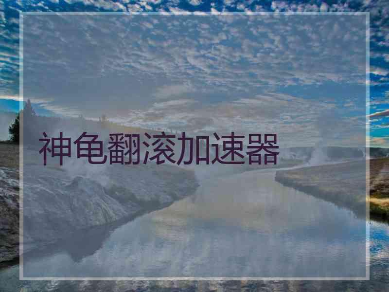 神龟翻滚加速器