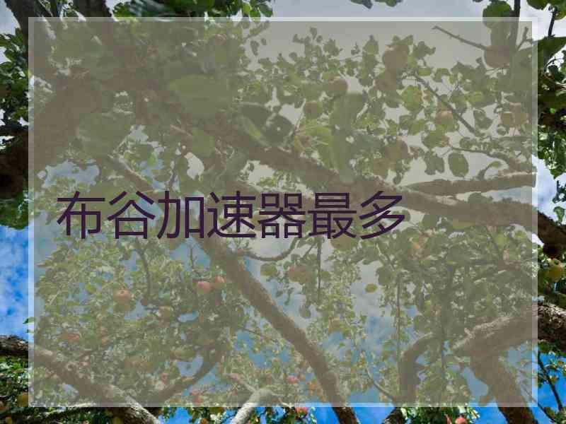 布谷加速器最多
