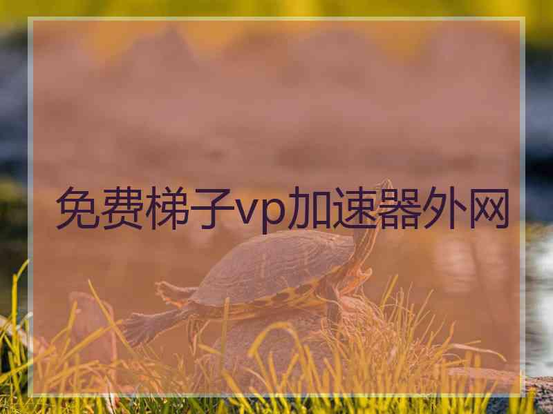 免费梯子vp加速器外网