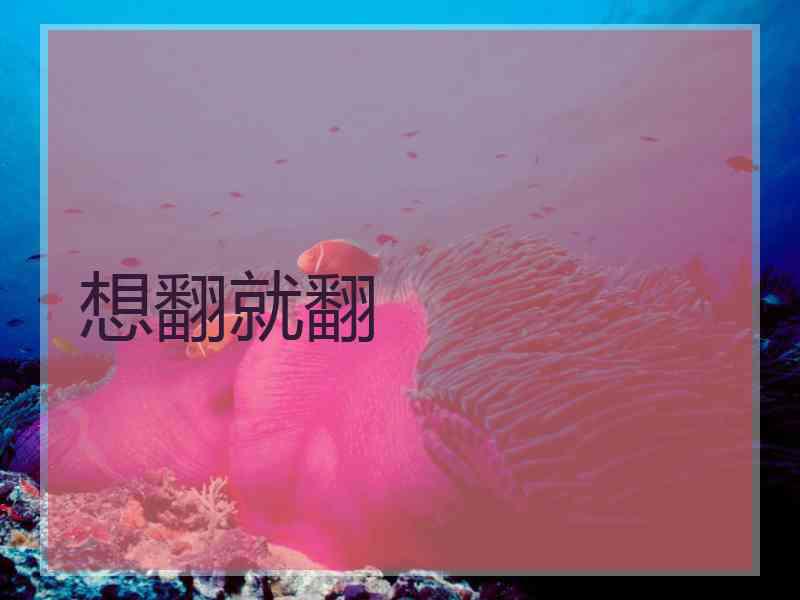 想翻就翻