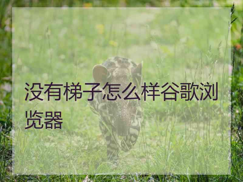 没有梯子怎么样谷歌浏览器