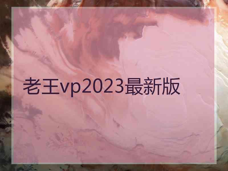 老王vp2023最新版