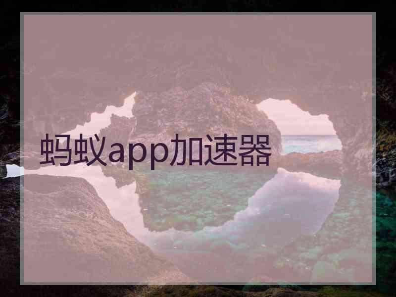 蚂蚁app加速器