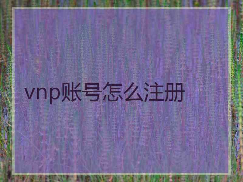 vnp账号怎么注册