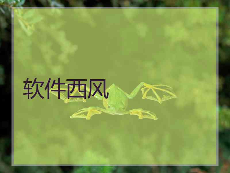 软件西风