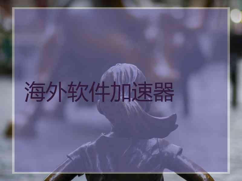 海外软件加速器