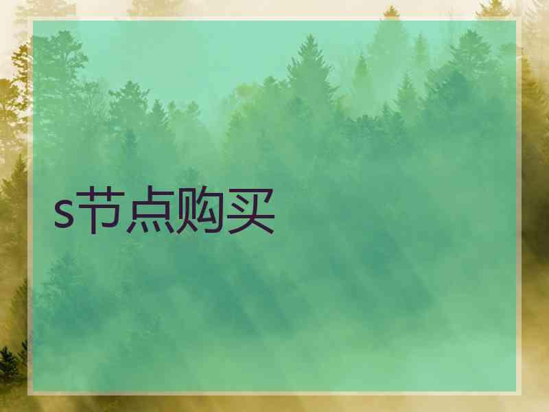 s节点购买