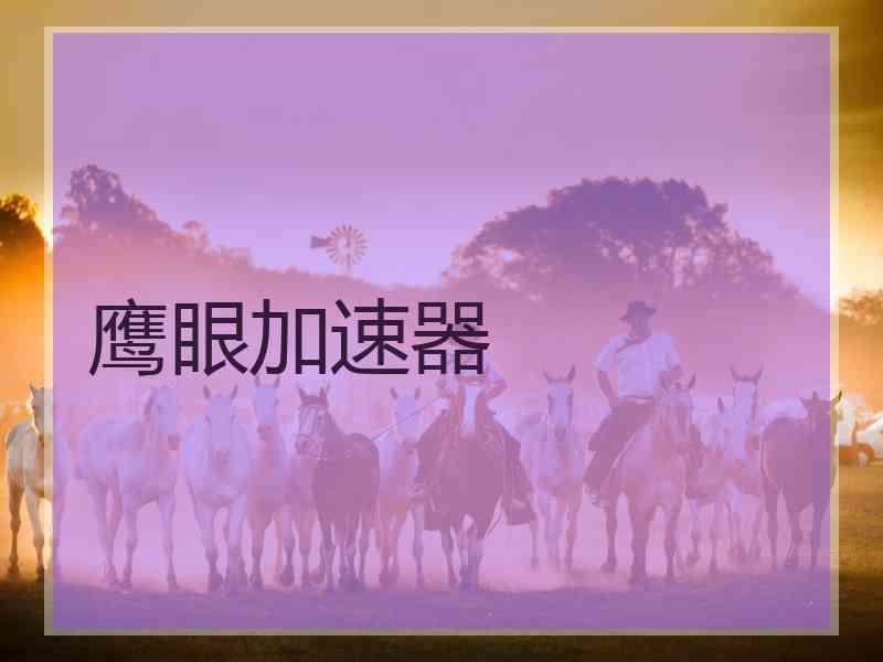 鹰眼加速器