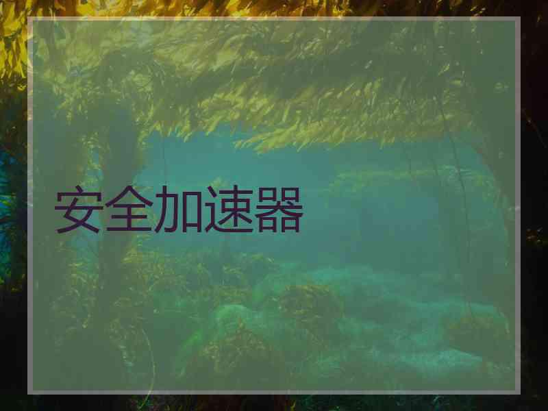 安全加速器