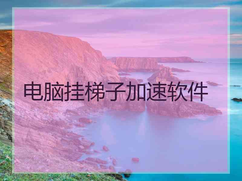 电脑挂梯子加速软件
