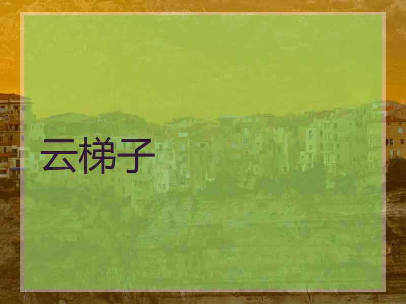 云梯子