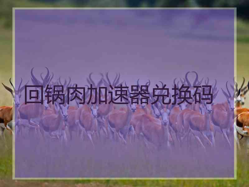 回锅肉加速器兑换码