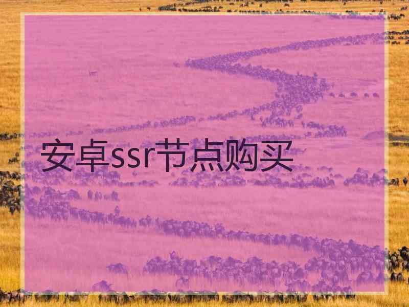 安卓ssr节点购买