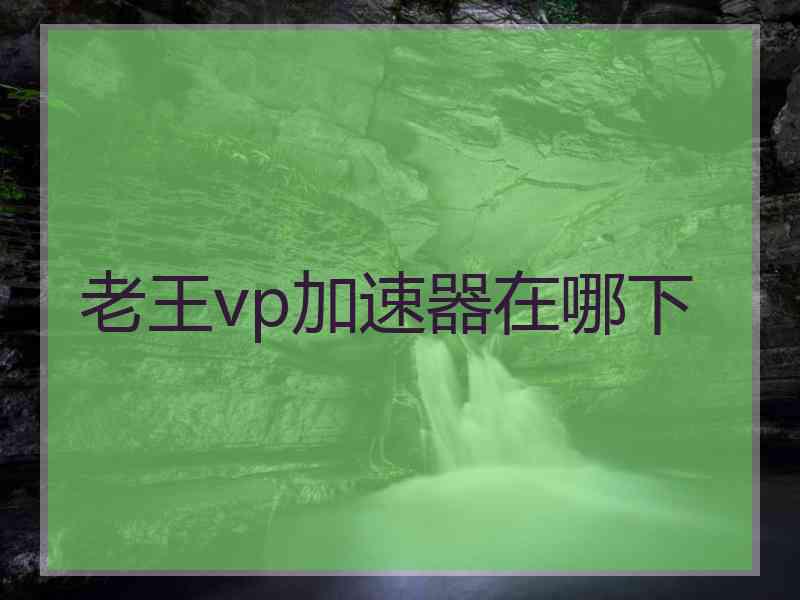 老王vp加速器在哪下