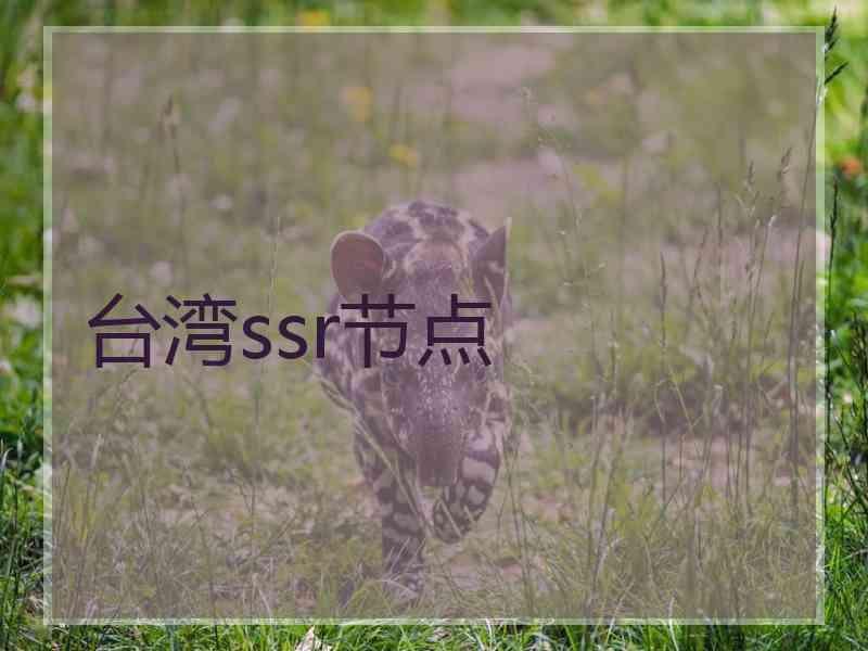 台湾ssr节点