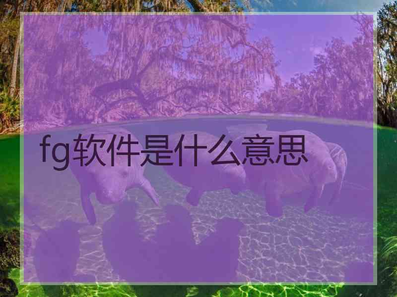fg软件是什么意思